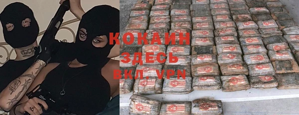 ГАЛЛЮЦИНОГЕННЫЕ ГРИБЫ Липки