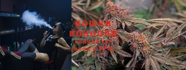 ГАЛЛЮЦИНОГЕННЫЕ ГРИБЫ Липки