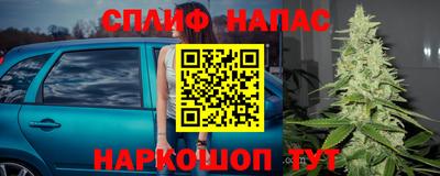 стафф Балаково