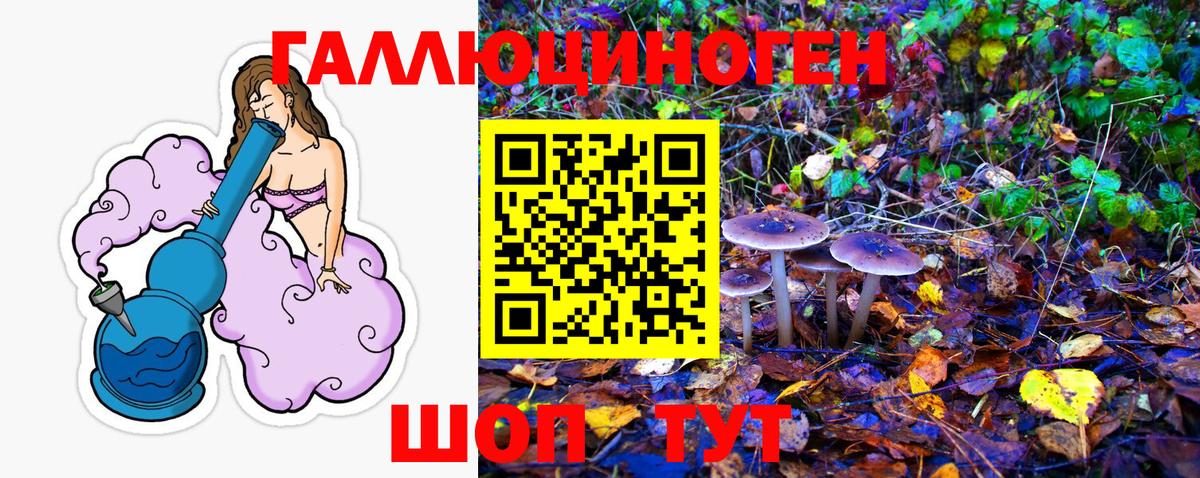 Псилоцибиновые грибы мухоморы  Галлюциногенные грибы Magic Shrooms  Вход с VPN  Сосновый Бор 