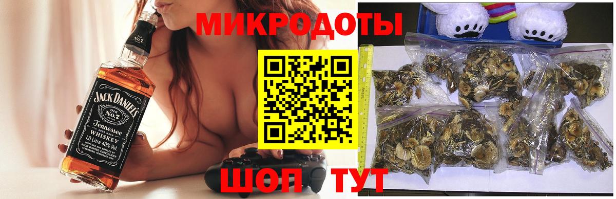 Псилоцибиновые грибы Cubensis  Сосновый Бор 